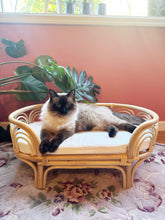 Load image into Gallery viewer, Sunrise Rattan Pet Bed