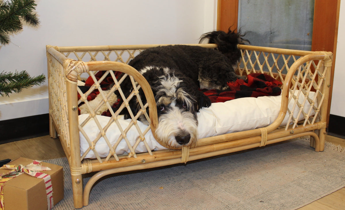 Rattan Knockdown Pet bed