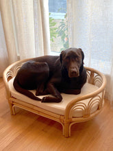 Load image into Gallery viewer, Sunrise Rattan Pet Bed Pet Bed Picnic Imports