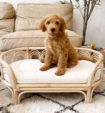 Load image into Gallery viewer, Sunrise Rattan Pet Bed Pet Bed Picnic Imports