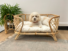 Load image into Gallery viewer, Kaira Rattan Pet Bed
