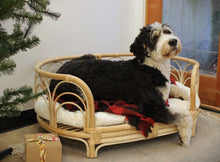 Load image into Gallery viewer, Sunrise Rattan Pet Bed
