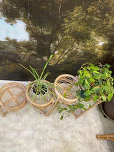 Load image into Gallery viewer, Folding Rattan Planter plant stand Picnic Imports 
